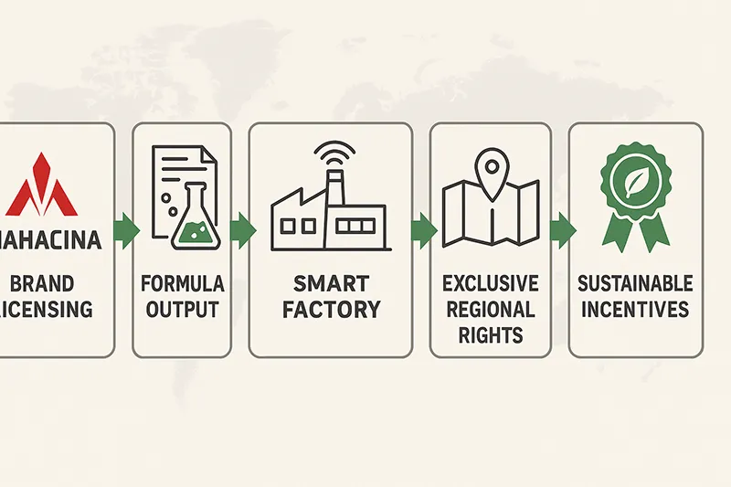 How Is Mahacina Replicating the China Manufacturing Model Globally-3